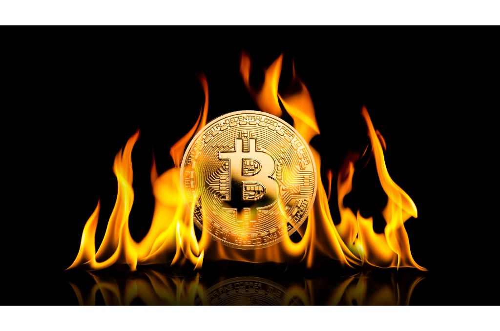 (サブスク)暗号資産8銘柄 サインアラート+シグナル Discord転送サービス(ビットコイン、イーサリアム、リップル・ドージ・エンジン・ソラナ・ライトコイン)