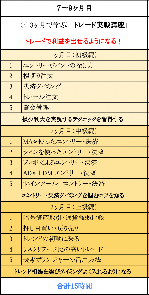 Trading course (Beginner/Intermediate/Advanced)