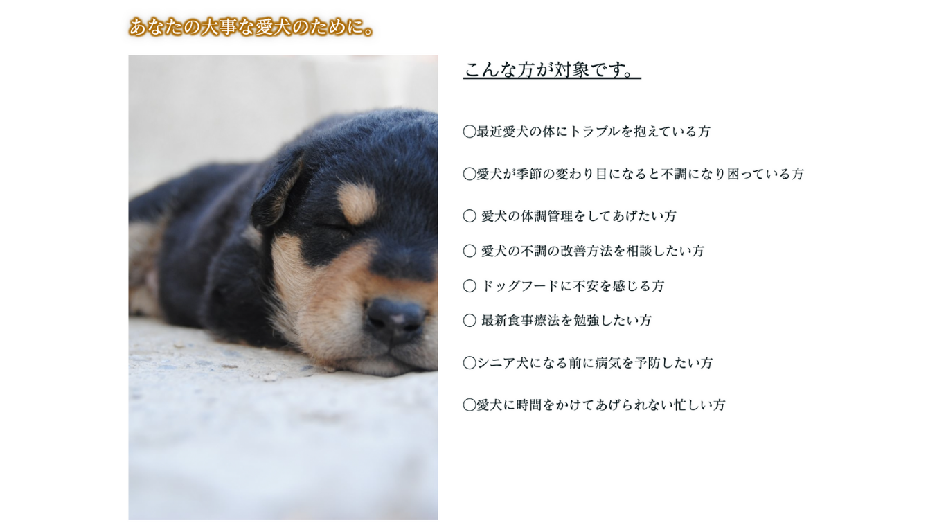 犬の未病を防ぐ「ワンちゃん食事療法オンラインサービス 」