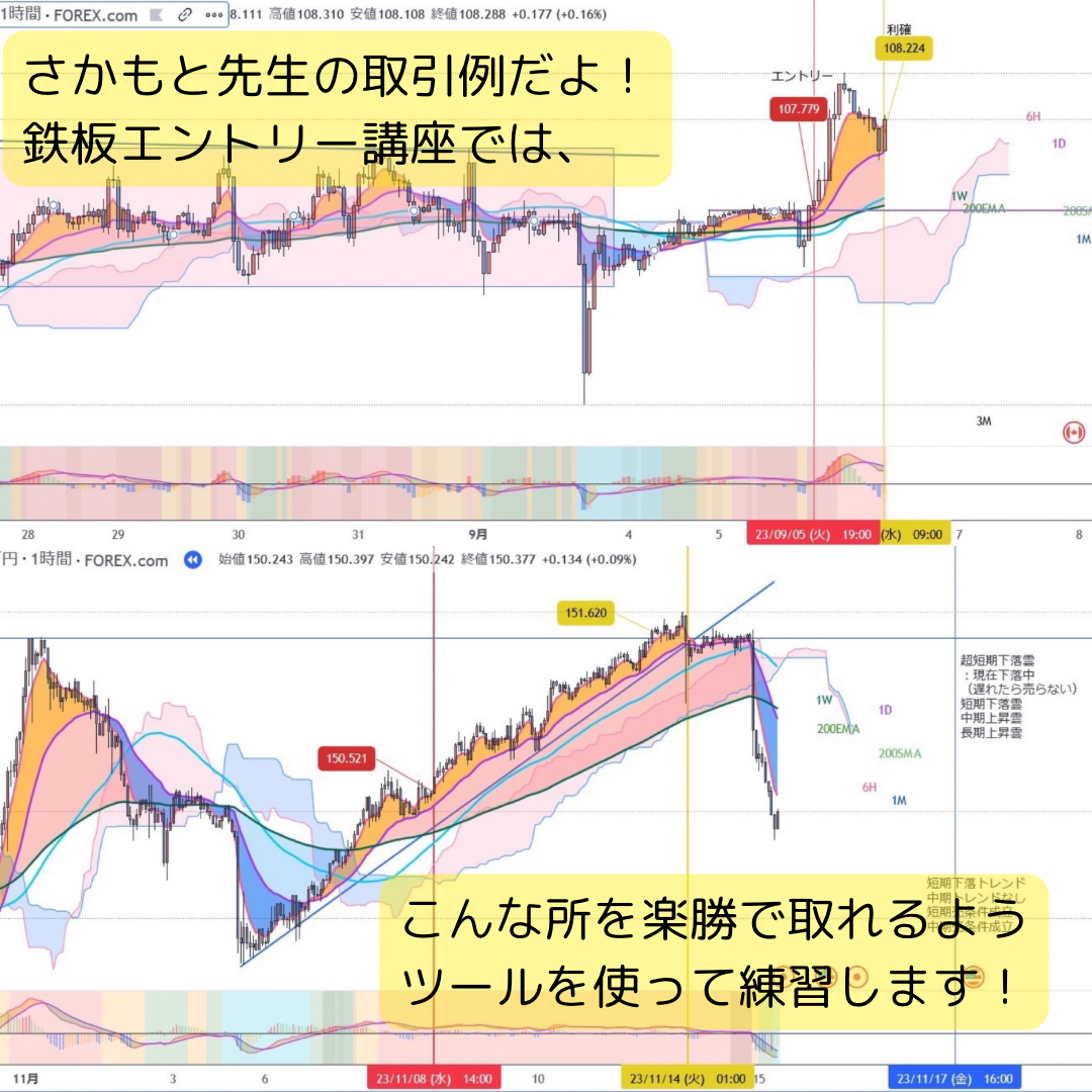 🌟🌟毎月利益７桁！ 『働く女性投資家による月収超えFX鉄板エントリービデオ講座（全6回）』