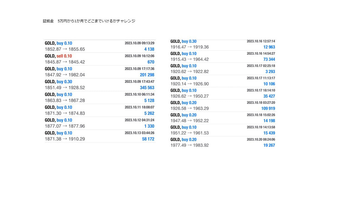 🌟🌟毎月利益７桁！ 『働く女性投資家による月収超えFX鉄板エントリービデオ講座（全6回）』