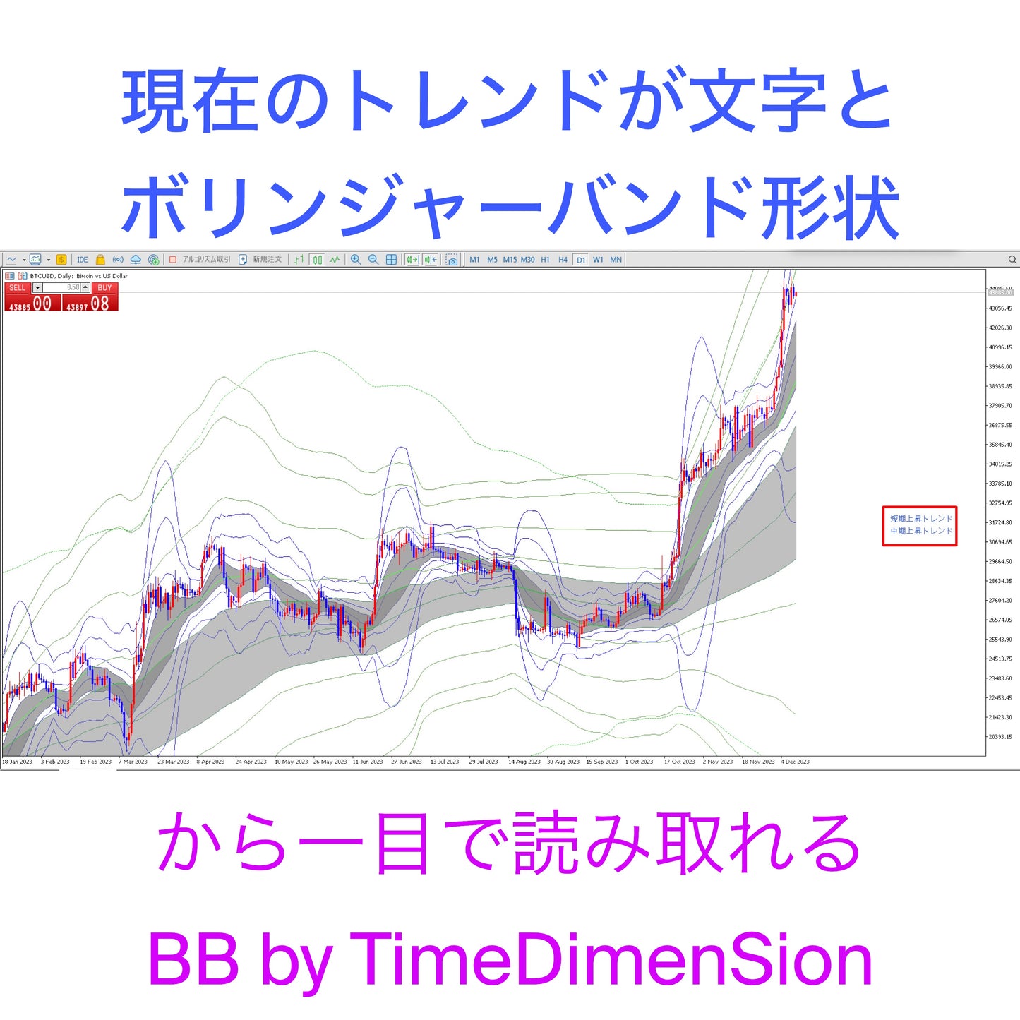 非サブスク 新発売記念期間限定特価【For MT5③】BB by TimeDimenSion（BB by TimeDimenSionをMT5に表示できます）